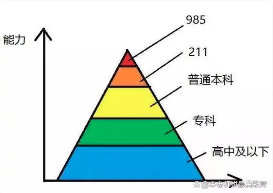 985、211工程是对大学的一次最大的生态破坏